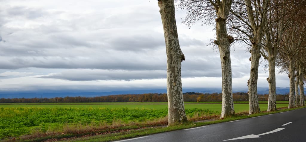 Route de Feurs
