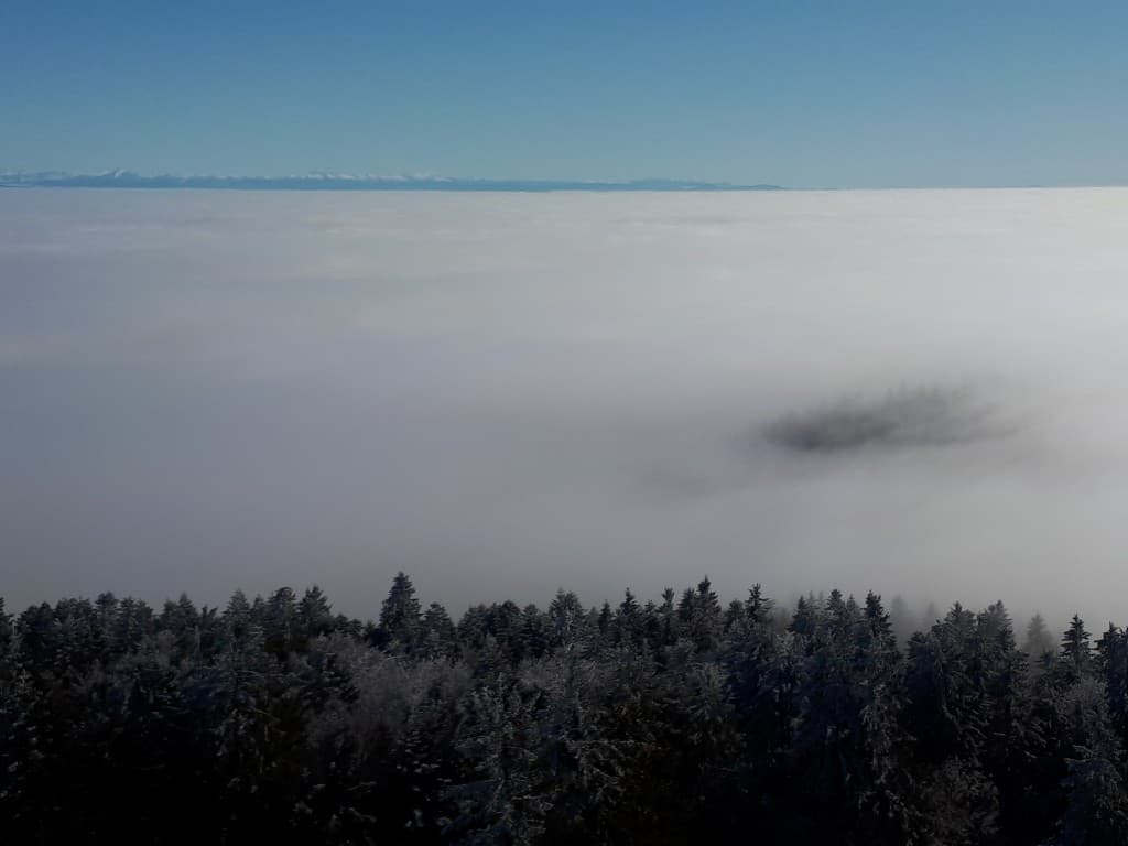 Les alpes depuis les crets du pilat
