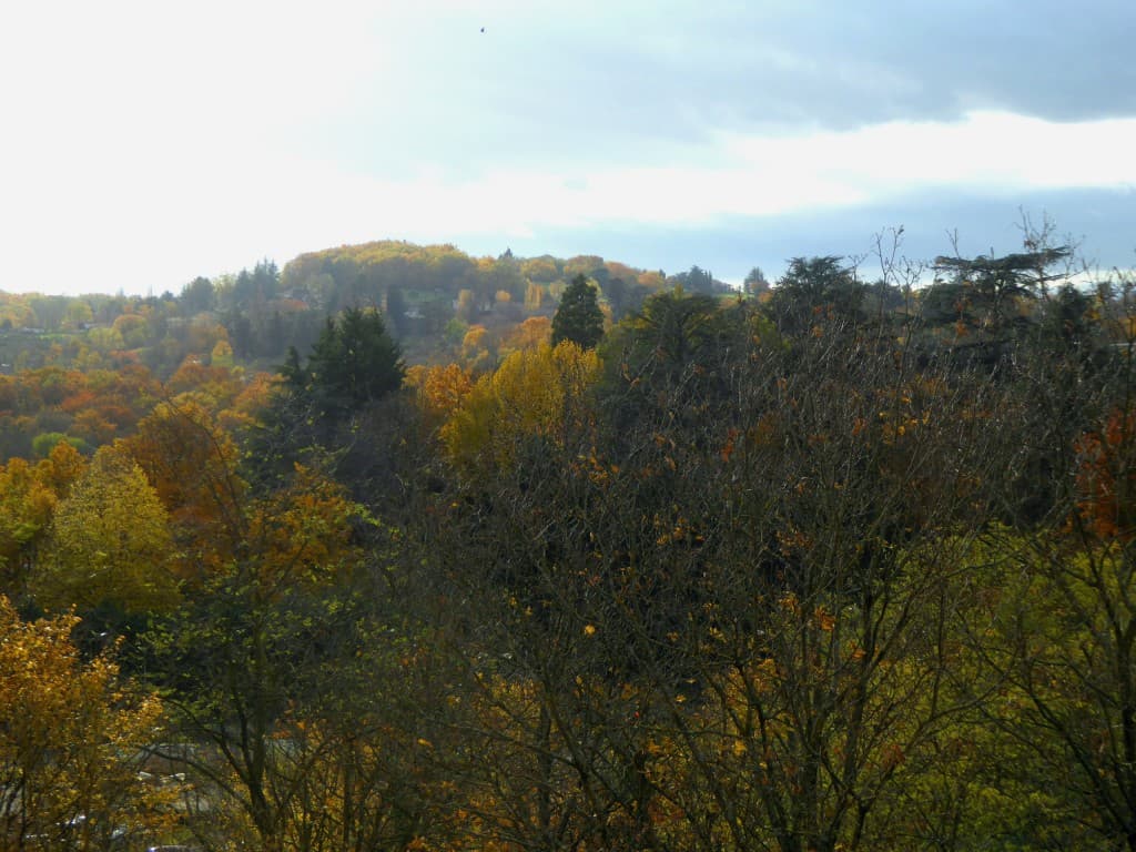 Soleil d'automne