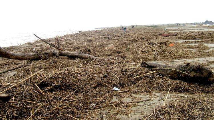 Image d'illustration pour Evènements météo en France en 2013