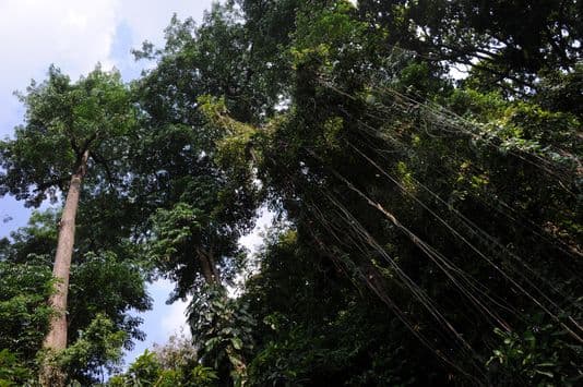 Image d'illustration pour Réchauffement & changement climatique : veille documentaire